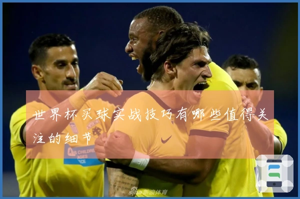 世界杯买球实战技巧有哪些值得关注的细节