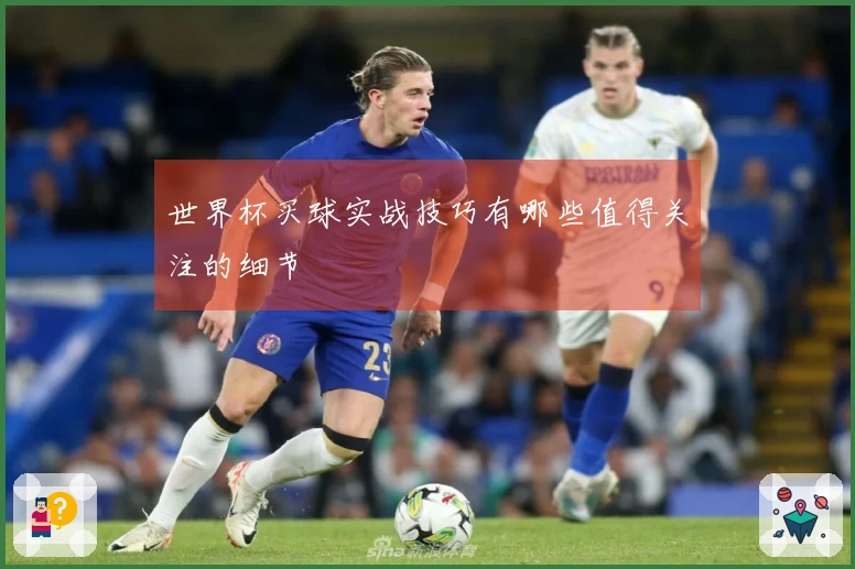 世界杯买球实战技巧有哪些值得关注的细节