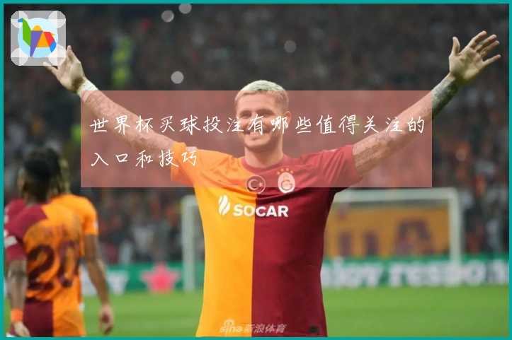 世界杯买球投注有哪些值得关注的入口和技巧