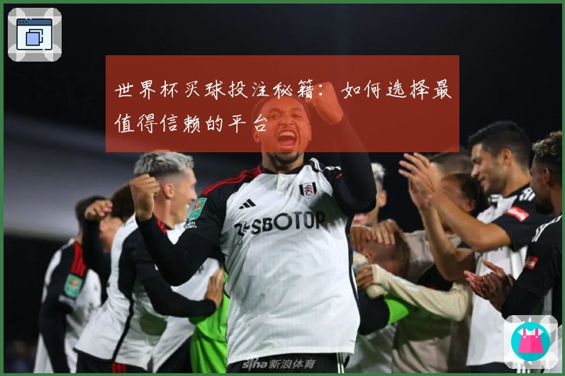 世界杯买球投注秘籍：如何选择最值得信赖的平台