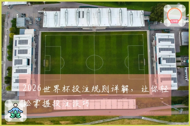 2026世界杯投注规则详解，让你轻松掌握投注技巧
